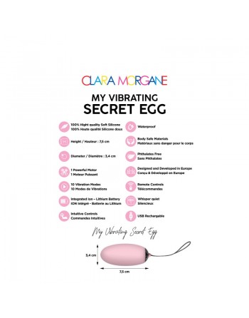 My vibrating secret egg - Rose